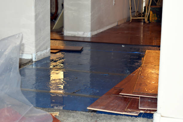 Professional Water Damage Repair technician working in Coupland, TX